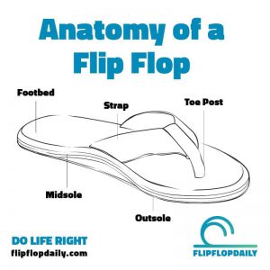 Do Life Right 8 anatomy of a flip flop