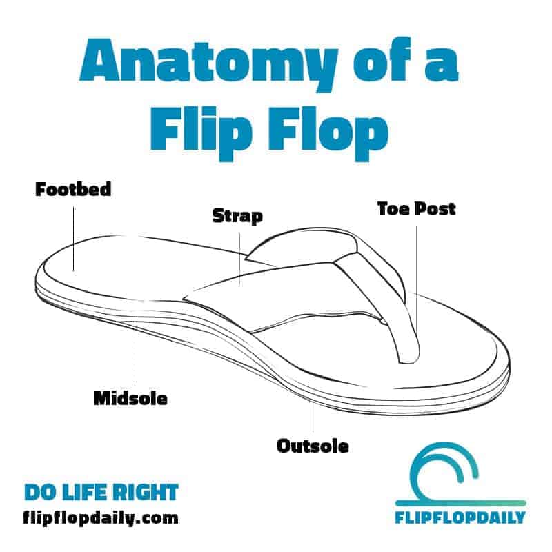 anatomy of a flip flop