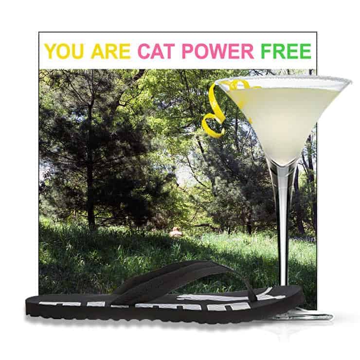 Puma Epic Review – Meow 1 Puma Epic Review – Meow